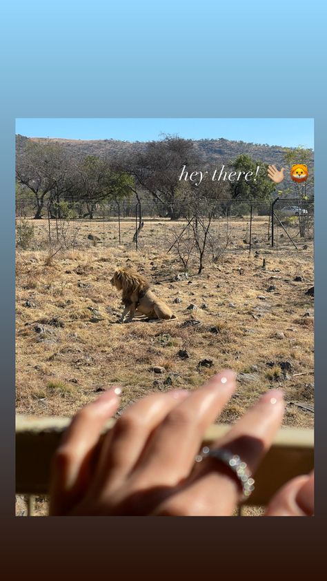 Safari Instagram Story, Safari Captions For Instagram, Jungle Hike, Beach Story, Travel Instagram Ideas, Safari Photography, South Africa Safari, Trip Photography, Snap Story