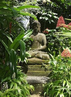 Maxa0109 | Freepik Buddha Statue Garden, Statue Of Buddha, Bali Garden, Balinese Garden, Bali Ubud, Buddha Garden, Meditation Garden, Asian Garden, Raised Garden Beds Diy