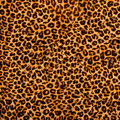 leopard,backdrop,seamless,art,chain,mail,decoration,graphic,textile,decor,decorative,arabesque,pattern,texture,black,hd Animal Skin Pattern, Leopard Print Background, Modern Mural, Girly Wallpapers, Print Background, Leopard Fabric, Lock Screens, Skin Pattern, Decoupage Vintage