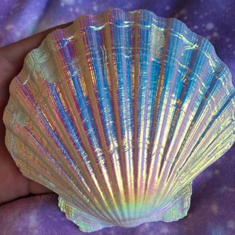 Mermaid Shell, Mermaid Aesthetic, Rainbow Aura, Aura Crystals, Mermaid Life, Shell Crafts, Pastel Aesthetic, Aesthetic Pictures, Sea Shells