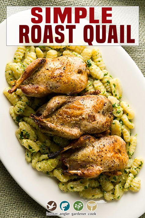 Quail Recipes With Gravy, Quale Bird Recipes, Cooking Quail Meat, Recipes For Quail, Oven Baked Quail Recipes, Oven Roasted Quail, Braised Quail Recipes, Roasted Quail Recipes, Easy Quail Recipes