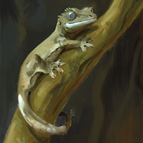 2,974 Likes, 19 Comments - Jonathan Kuo (@jonnadon1) on Instagram: “Study on my baby crested gecko full image and drawing breakdowns on Artstation and Facebook…” Crested Gecko Drawing, Cute Crested Gecko, Gecko Drawing, Lizard Tattoo, Cute Gecko, Cute Lizard, Cute Reptiles, Crested Gecko, Snake Art