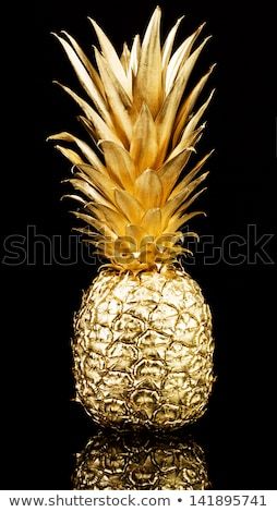 Golden Pineapple, Tropical Poster, Pineapple Decor, Gold Pineapple, Gold Aesthetic, 140 Pounds, Iphone Wallpaper Tumblr Aesthetic, Create Digital Product, Hand Embroidery Art