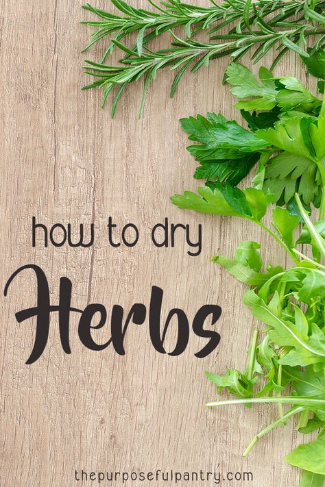 How to Dry Herbs | 6 Ways to Dry Herbs | Dehydrate Herbs | #gardening #herbgarden #thepurposefulpantry Dehydrate Herbs, Herb Tips, Purposeful Pantry, Herbs Drying, Preserve Herbs, Homestead Pantry, Dehydrating Recipes, Ayurveda Herbs, Pantry Basics