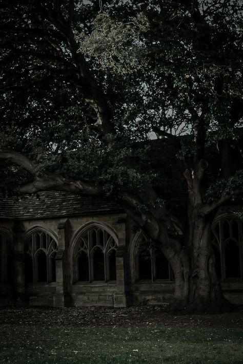 Hogwarts Forest Aesthetic, Slytherin Autumn Aesthetic, Hogwarts Dark Aesthetic, Dark Hogwarts Aesthetic, Harry Potter Dark Aesthetic, Harry Potter Forest, Hogwarts Slytherin Aesthetic, Harry Potter Aesthetic Dark, Dark Green Forest Aesthetic