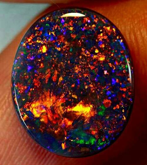 Black Fire Opal Pretty Rocks, Beautiful Rocks, Mineral Stone, Lightning Ridge, Minerals And Gemstones, Rocks And Gems, Precious Gems, Gems And Minerals, Gems Jewelry