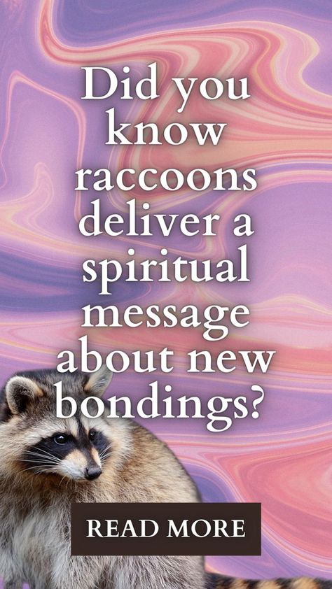 Raccoon Spiritual Meaning, Raccoon Spirit Animal, Raccoon Meaning, Raccoon Symbolism, Positive Signs, Spiritual Animals, Animal Signs, The Meaning Of Love, Animal Meanings