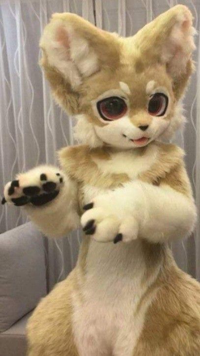 Kemono Fursuit Dog, Hybrid Fursona, Female Fursuit, Dog Fursuit, Kemono Fursuit, Fursuit Tutorial, Fur Suits, Cute Pokemon Pictures, Silly Images