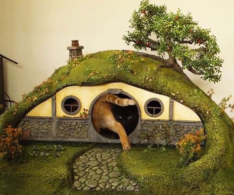 Cat Liter, Katt Grejer, Casa Hobbit, Cat Castle, Best Cat Litter, Cat Tree House, Hobbit Hole, Hobbit House, Cat Scratching Post