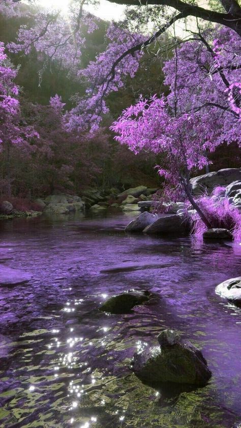 Chill Places Nature, Purple Scenery Wallpaper, Purple Nature Aesthetic, Purple Place Aesthetic, Nada Core, Purple Place, Wallpaper Purple, Lavender Aesthetic, Pretty Landscapes