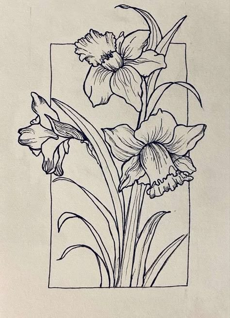 Narciss Flower Drawing, Flower Drawing Daffodil, Daffodils Drawing Simple, Daffodil Sketch Tattoo, Daphadil Flower Drawing, Drawing Of Daffodils, Daffodil Coloring Pages, Daffodil Tattoo Drawing, Narcissus Flower Sketch