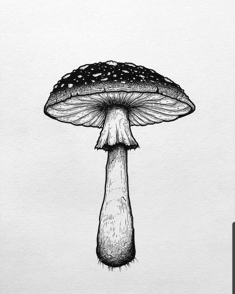 Easy Drawings Step By Step, Step By Step Sketches, Easy Drawing Steps, Mushroom Tattoos, Clever Tattoos, Mushroom Drawing, Tattoo Portfolio, My Sketchbook, Nature Drawing