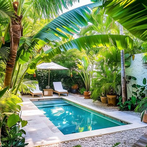 Garden Pool Backyard, Backyard Tropical Oasis Ideas, Natural Pool Ideas, Pool Deck Design, Pool Styles, Coastal Backyard, Paradise Aesthetic, Small Pools Backyard, Florida Backyard