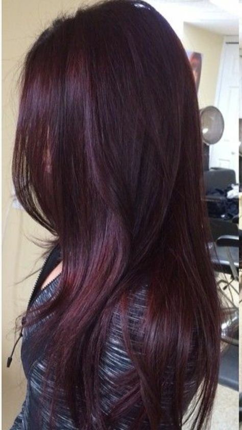 Pelo Color Vino, Burgundy Hair Color, Hair Color Plum, Plum Hair, Wine Hair, Hair Color Burgundy, Dark Red Hair, Shades Of Burgundy, Burgundy Hair