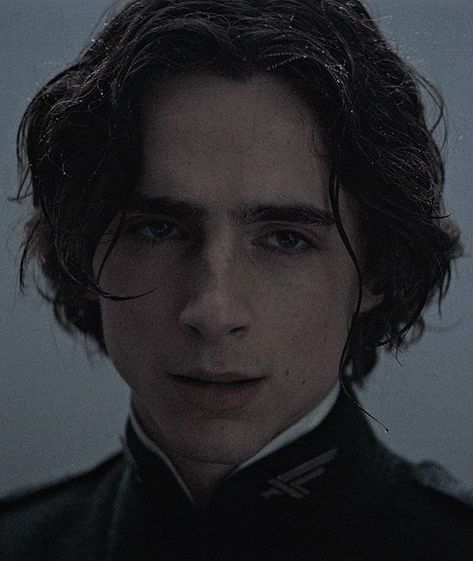 Regulus Acturus Black, Dune Movie, French Boy, Paul Atreides, Timmy T, Black Icon, Regulus Black, Dark Soul, Marauders Era