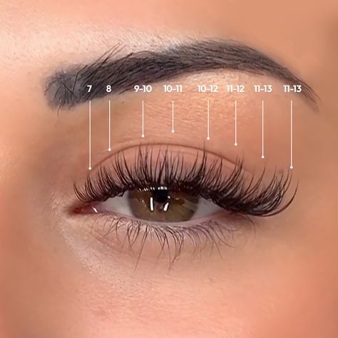 Last Extensions Cat Eye, Lash Extensions Mapping Styles Wispy, Lash Set For Almond Eyes, Wet Set Classic Lash Extensions, Whisky Cat Eye Lashes, Cat Eye Classic Lash Extensions Map, Cat Eyes Extension, Lashes Mapping Cat Eye, Mock Cat Eye Lash Extensions