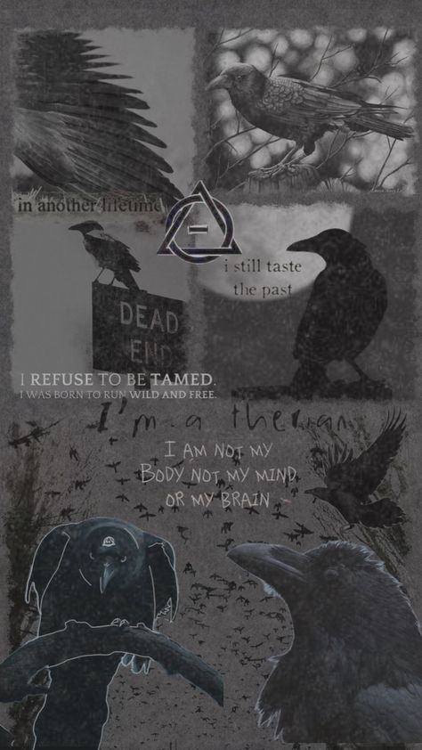 #crow #crowtherian #therian #therianthropy Crow Therian, The Devil In Me, Can You Feel It, Dead Ends, Born To Run, Do What Is Right, Wild Things, Second Child, Wild And Free