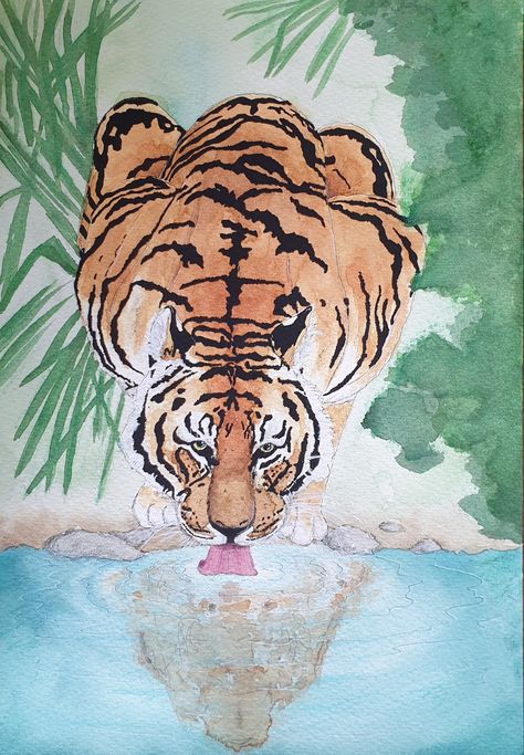 Tiger Drinking Water Drawing, Tiger Drinking Water, Tiger Conservation, Concept Drawing, Water Watercolor, Concept Draw, Water Illustration, Watermelon Sugar, Water Drawing