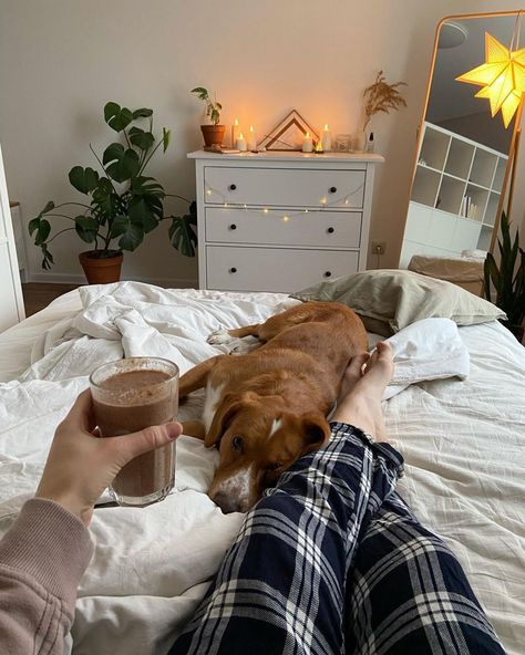 Korean Cafe, Living With Dogs, Akita Inu, Home Aesthetic, Wife Life, Dream Room Inspiration, Apartment Garden, Tiny House Living, Coffee Cozy