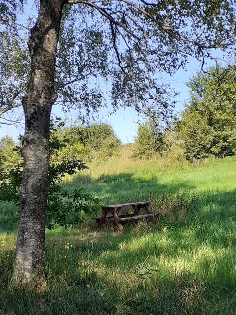 A picture of an outdoor picnic place. It's a sunny summer day with clear blue skies. A nearby tree casts a big shadow over the wooden table and benches. Nostalgia Core Summer, Early 2000s Summer Nostalgia, Sunny Summer Day Aesthetic, Nostalgic Summer Aesthetic, Writer Retreat, Summer Nostalgia Aesthetic, Nostalgia Core Aesthetic, Southern Nostalgia, Spring Nostalgia