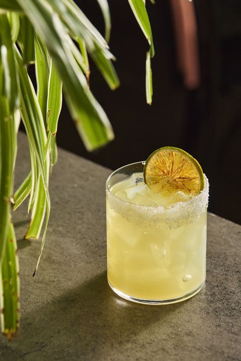 Salt rim on a Tommy's Margarita served with a dried lime slice. The simple glassware sits upon a concrete table with an indoor spider plant sitting beside it. Image belongs to Instant Crush Creative. Yellow Cocktails, Tommy's Margarita, Dried Lime, Lime Slice, Spider Plant, Tumbler Glass, Concrete Table, Spider Plants, Salt