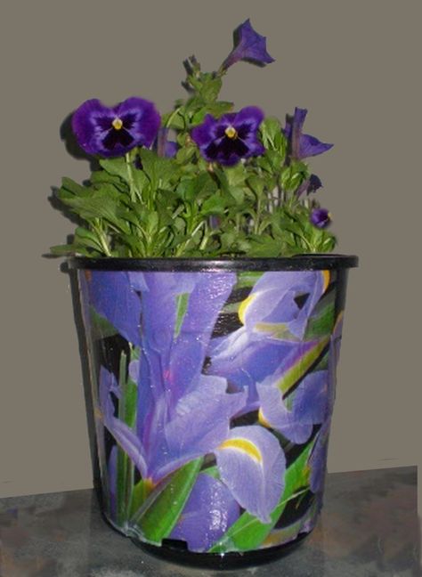 Recycle plastic pots with decoupage. http://howtomakedo.net/1131/decoupage-plastic-pots/ Modge Podge On Plastic Containers, Decoupage Plastic Plant Pots, Decoupage Plant Pots, How To Paint Plastic Flower Pots, Painting Plastic Pots, Decoupage Plastic, Painting Planters, Decoupage Pots, Newspaper Pattern