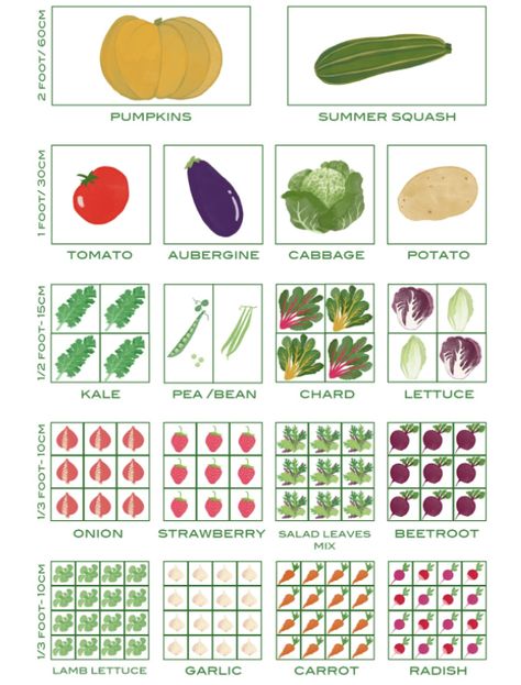 SQUARE FOOT GARDEN - FOOD GROWING TIPS - Wen Vegetable Garden Design Plans Drawing Layout, Square Metre Vegetable Garden, Square Food Garden Plan, Garden Bed Planning, 10 X 20 Garden Layout, Vegetable Bed Layout, Veg Garden Ideas Layout, Sq Ft Gardening, 6x6 Garden Layout