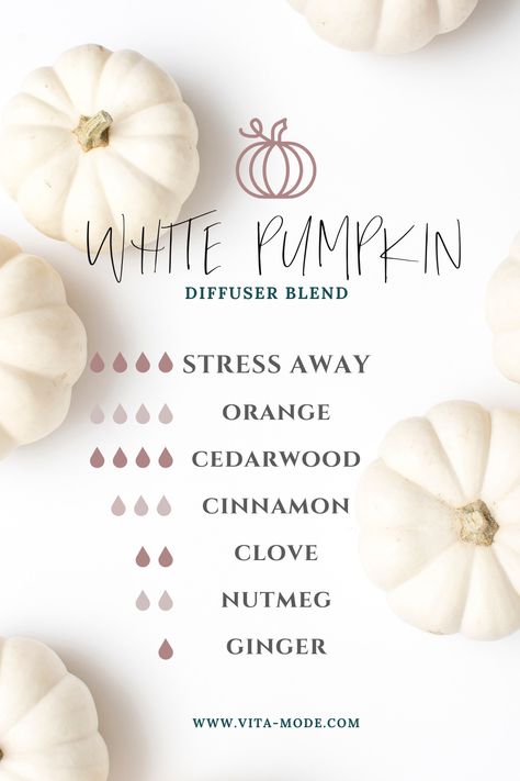 Try a non-toxic, sophisticated twist on your favorite pumpkin candle with this fall white pumpkin essential oil diffuser blend using Young Living Oils. #fall #diffuserblend #whitepumpkin #YL #oils #EO #vitamode Clean Fall Essential Oil Blends, White Pumpkin Essential Oil Blend, Clean Fall Diffuser Blends, Sweet Cinnamon Pumpkin Diffuser Blend, Theives Oil Diffuser Blends Fall, Diffuser Blends Young Living, Fall Essential Oils, Fall Diffuser Blends, Essential Oil Combinations