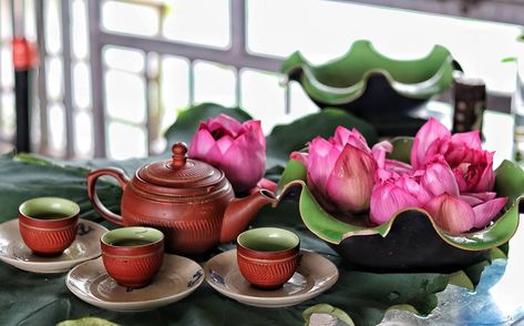 Photoshop Illustration Tutorial, Different Types Of Tea, Lotus Tea, Tea Health Benefits, Tea Culture, Vietnamese Recipes, Tea Art, Chinese Tea, Moon Cake