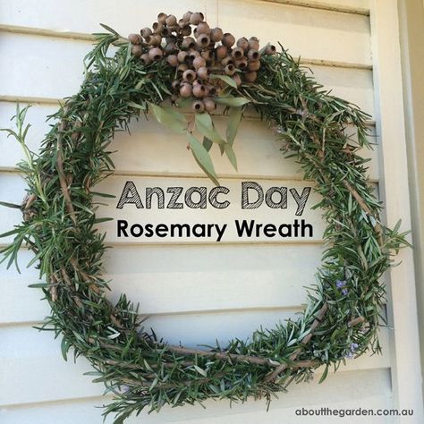 Anzac Poppy, Rosemary Wreath, Remembrance Day Art, Poppy Craft, Remembrance Day Poppy, Garden Magazine, Anzac Day, Australia Day, Lest We Forget