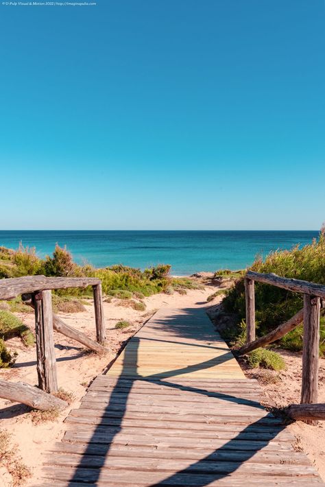 Wishes Board, Italia Aesthetic, Dock Of The Bay, Dry Stone Wall, Dry Stone, Beach Boardwalk, Puglia Italy, Stone Walls, Olive Trees