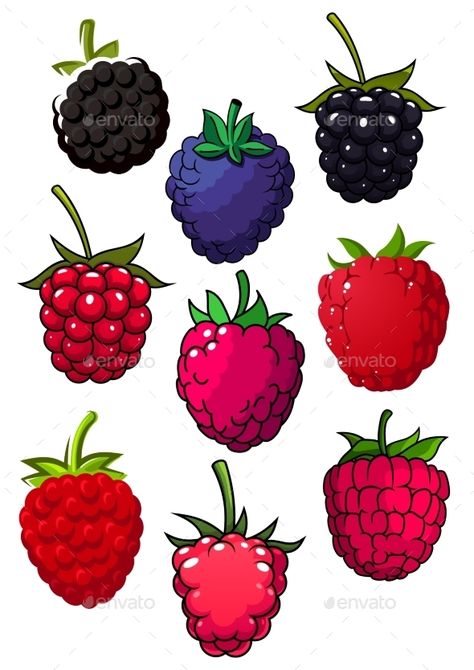 Red Raspberry And Blackberry Fruits Raspberry Drawing, Postcard Drawing, Smoothie Shop, Seed Packaging, Red Raspberry, Gacha Stuff, Simple Illustration, Logo Icons, Stone Painting