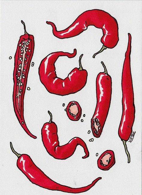 Spice Illustration, Symbols Meaning, Veggie Art, Chili Chili, Posca Art, Art Kitchen, Crafting Paper, Animation Design, Hippie Art