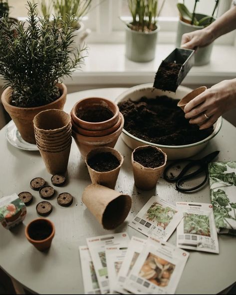 Gardening Photography, Spring Mood, Plant Photography, Boho House, Visual Storytelling, Tell A Story, Potting Shed, Slow Life, Plant Mom