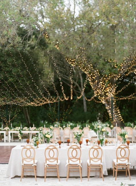 Deering Estate Wedding, Deering Estate, Fairytale Garden, Courtyard Wedding, Party Garden, Estate Wedding, Wedding Board, Spring Garden, Garden Wedding