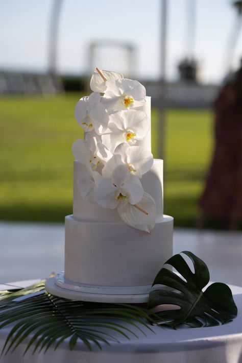 Gallery 3 — MANA CAKES HAWAII Modern Tropical Wedding Cake, Wedding Cake Tropical Flowers, One Tier Tropical Wedding Cake, Tropical Wedding Cake Topper, Hawaii Wedding Cake Topper, Tropical Wedding Cake, Wedding Cake Navy, Wedding Cake Pearls, Stylish Prom Dress