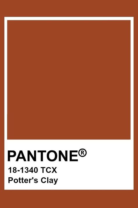 Deep Peach Color, Rust Color Swatch, Pantone Terracotta Colour Palettes, Terra Cotta Pantone, Pantone Colour Swatches, Orange Color Pantone, Rust Color Aesthetic, Terracotta Pantone, Autumn Pantone