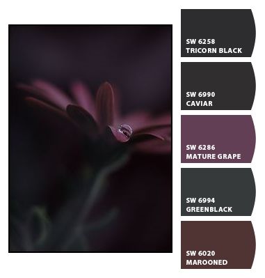 Aubergine Color Palette Living Rooms, Sherwin Williams Black Purple, Gothic Bathroom Paint Colors, Sherwin Williams Blackberry Paint, Purple Moody Bathroom, Sherwin Williams Midnight, Sherwin Williams Blackberry, Gothic Paint Colors, Goth Color Pallet