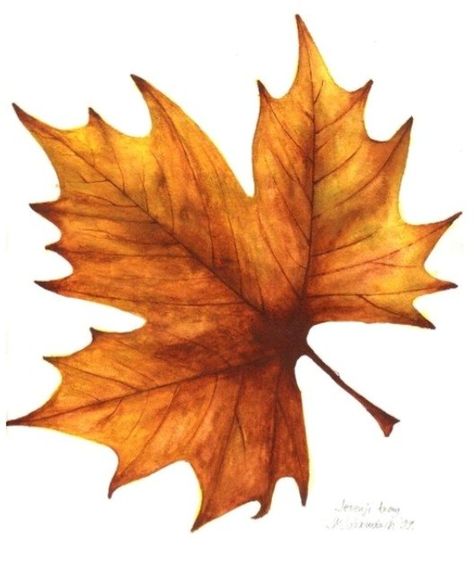 Nails Thanksgiving, Autumn Leaves Art, Leaf Template, Autumn Thanksgiving, 수채화 그림, Home Inspo, Painted Leaves, Autumn Nails, Watercolor Leaves