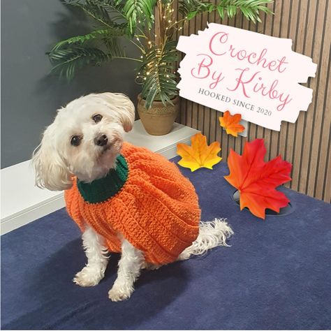 Large Dog Crochet Sweater Pattern, Crochet Halloween Dog Costumes, Crochet Halloween Dog Sweater, Crochet Weenie Dog Sweater, Dog Sweater Crochet, Mwdium Dog Crochet Sweater, Halloween Costume Patterns, Dog Sweater Crochet Pattern, Dog Pumpkin