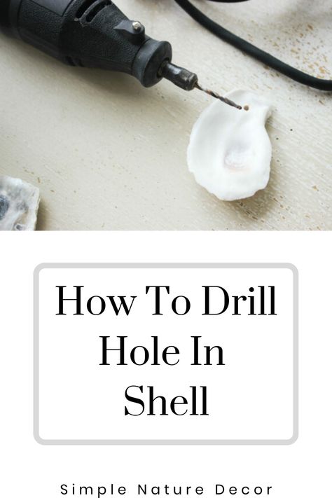 How To Drill A Hole In Sea Shells, Oyster Shell Earrings Diy, Drilling Holes In Shells, How To Drill Holes In Oyster Shells, Mussell Shell Crafts, How To Drill A Hole In An Oyster Shell, How To Drill Hole In Oyster Shell, How To Drill A Hole In A Seashell, How To Drill Holes In Shells