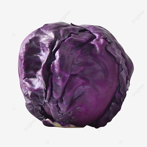 cabbage clipart,one,frontal perspective,purple,purple cabbage,vegetables,healthy,delicious,fresh,mature,vegetables clipart,healthy clipart,a clipart,one clipart,purple clipart Healthy Clipart, Purple Clipart, Purple Vegetables, Cabbage Vegetable, Purple Lightning, Purple Wreath, Purple Cabbage, Recipe Books, Transparent Image