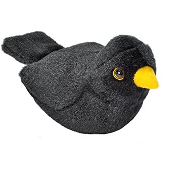 Bird Plush, Bird Calls, House Sparrow, Cute Stuffed Animals, Bird Toys, Blackbird, Rubber Duck, Black Bird, Soft Velvet