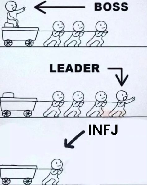 Infj X Entp Mbti, Entj Infj, Infj Meme, Infj Personality Facts, Infj And Entp, Personalidad Infj, Infj Humor, Infj Things, Infj Problems