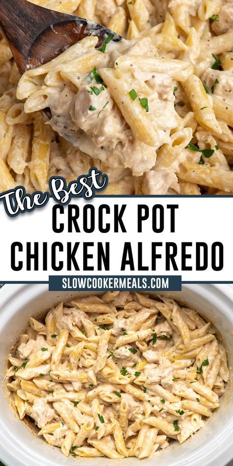 Crock Pot Chicken Alfredo is a no-fuss way to enjoy creamy pasta goodness for a quick and tasty weeknight dinner. Let your slow cooker do the work, and you'll have a flavorful Italian-inspired meal with chicken, cream, and Parmesan that's perfect for any night of the week! Crock Pot Alfredo Chicken, Alfredo Chicken Crockpot, Crockpot Alfredo Recipes, Chicken Alfredo In Crockpot, Alfredo In Crockpot, Chicken Alfredo Pasta Crockpot, Chicken Alfredo Crockpot Recipes, Crock Pot Alfredo, Crockpot Alfredo Chicken