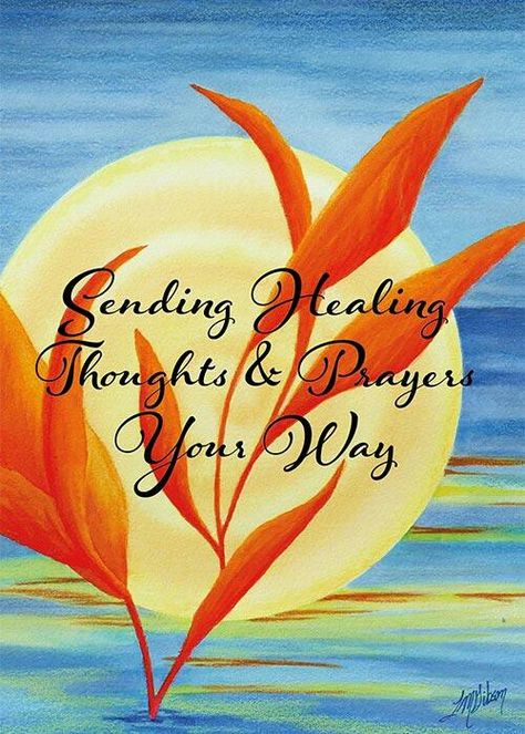 In My Prayers And Thoughts, Sending Thoughts And Prayers, Sending Prayers Your Way Healing, Thoughts And Prayers Quotes Sending, Thinking Of You Today Support, Thinking Of You Quotes Support, Sending Prayers Your Way, Sending Healing Prayers, Just Checking In On You Images