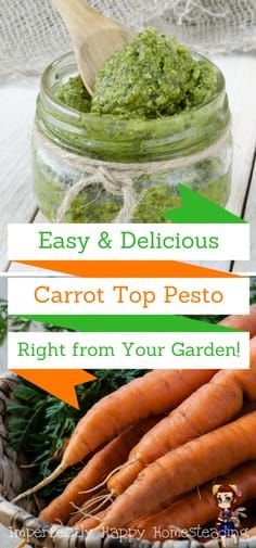 Carrot Top Pesto - use your fresh garden goodness in this simple and delicious recipe. Carrot Top Pesto, Carrot Greens, Csa Recipes, Carrot Top, Pesto Recipe, Garden Recipes, The Homestead, Grow Your Own Food, Canning Recipes