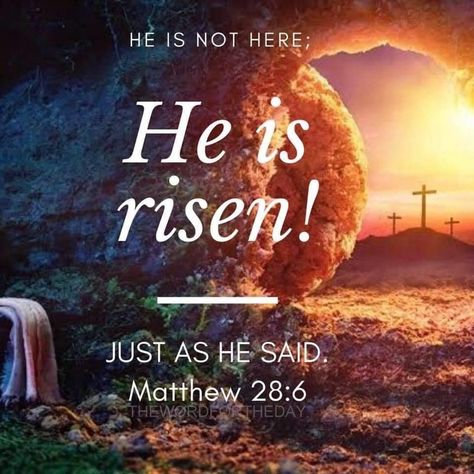 Happy Easter Quotes Jesus Christ, He Is Risen Quotes, Happy Resurrection Sunday, Word For The Day, Jesus Has Risen, Easter Bible Verses, Rise Quotes, Happy Easter Quotes, Hope In Jesus