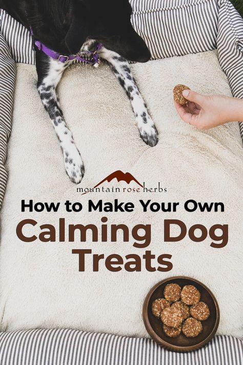 DIY Herbal Dog Treat Recipe Calming Dog Treats, Diy Dog Treats Healthy, Peanut Butter Banana Dog Treats, Calming Treats For Dogs, Banana Dog Treats, Pup Treats, Homemade Pet Treats, Pet Treats Recipes, Dog Treat Recipe