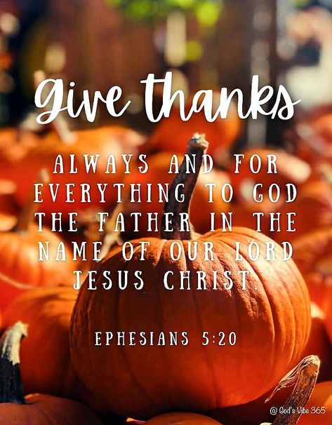 Harvest Quotes, Thanksgiving Quotes Christian, Thanksgiving Verses, Ephesians 5 20, Thanksgiving Scripture, Thanksgiving Bible Verses, Fall Bible Verses, Christian Thanksgiving, Good Morning Sweetheart Quotes